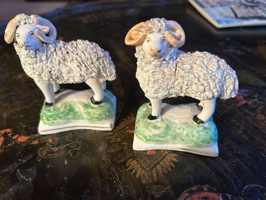 A pair of rams